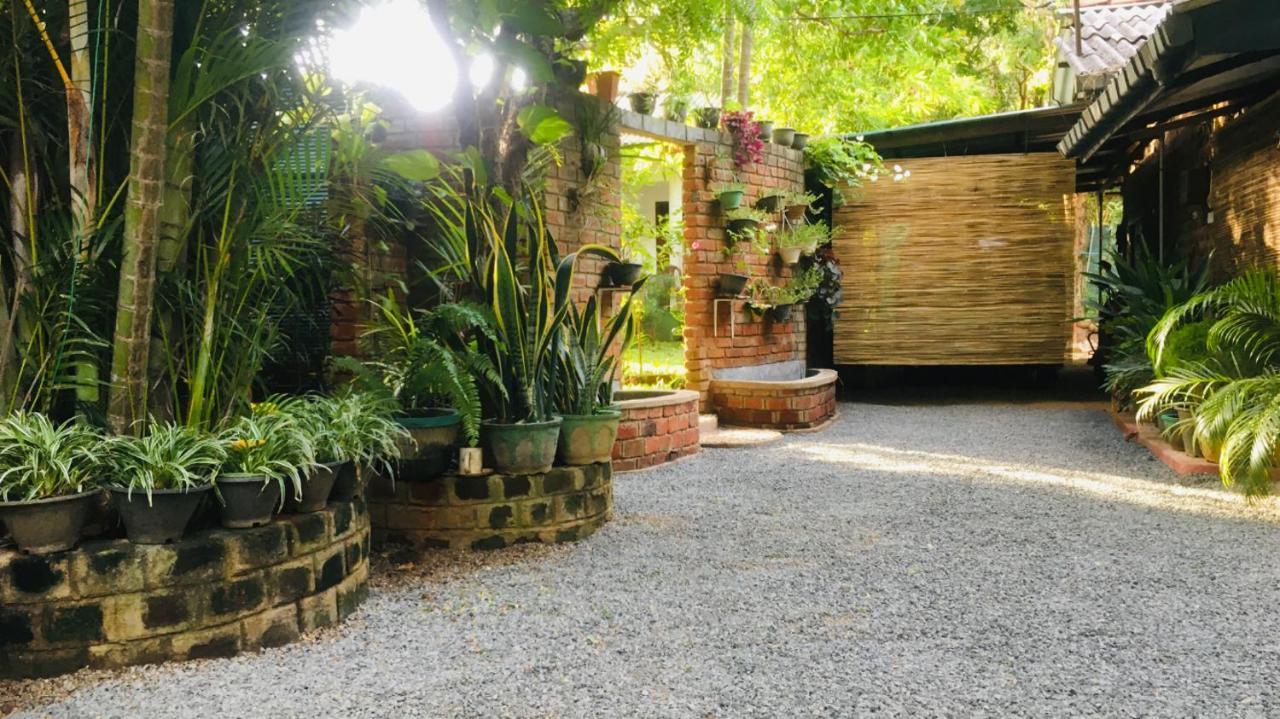 Mowgli Cottage Sigirija Zewnętrze zdjęcie