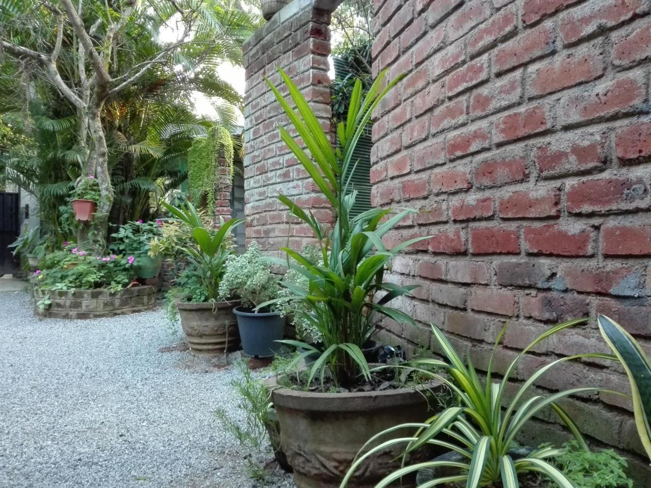 Mowgli Cottage Sigirija Zewnętrze zdjęcie