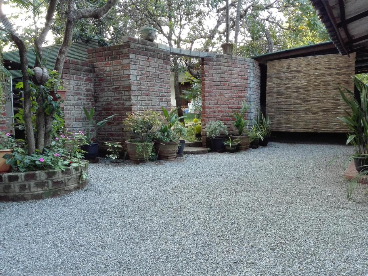 Mowgli Cottage Sigirija Zewnętrze zdjęcie